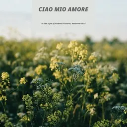 Cover art for Ciao Mio Amore - Andreas Fulterer,Rosanna Rocci karaoke version