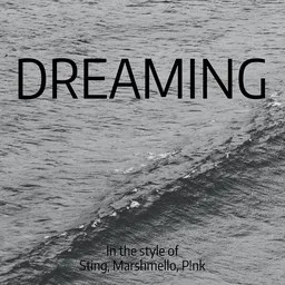 Cover art for Dreaming - Marshmello,P!NK,Sting karaoke version