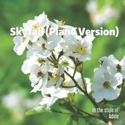 Cover art for Skyfall (Piano Version) - Adele karaoke version