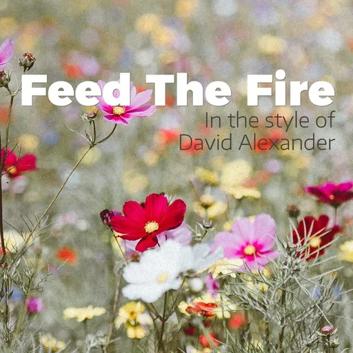 Karaoke Feed The Fire by David Alexander — sing along with lyrics on Singa