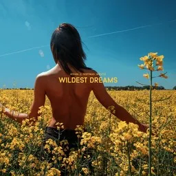 Titelbild für Wildest Dreams - Jovani,Justinas Jarutis Karaoke-Version