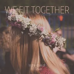 Omslagsbild för We Fit Together - O-Town karaokeversion
