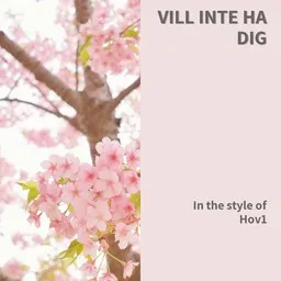 Omslagsbild för Vill Inte Ha Dig - Hov1 karaokeversion