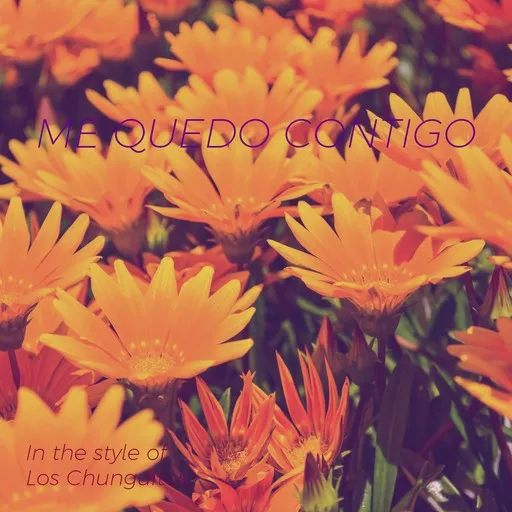 Me Quedo Contigo - Karaoke