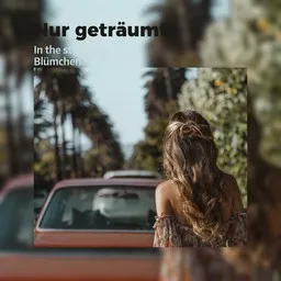Cover art for Nur geträumt - Blümchen karaoke version