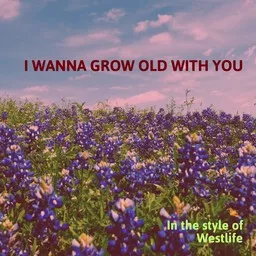 Omslagsbild för I Wanna Grow Old With You - Westlife karaokeversion