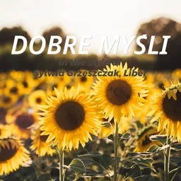 Omslagsbild för Dobre Myśli - Liber,Sylwia Grzeszczak karaokeversion