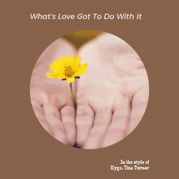 Titelbild für What's Love Got To Do With It - Kygo,Tina Turner Karaoke-Version