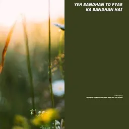 Cover art for Yeh Bandhan To Pyar Ka Bandhan Hai - Alka Yagnik,Karan Arjun (The Movie),Kumar Sanu,Udit Narayan karaoke version