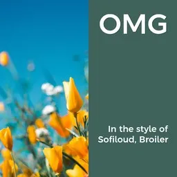 Omslagsbild för OMG - Broiler,Sofiloud karaokeversion