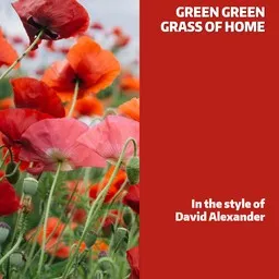 Cover art for Green Green Grass Of Home - David Alexander karaoke version
