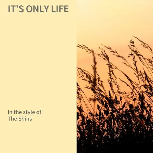 Karaoke It's Only Life by The Shins — sing along with lyrics on Singa