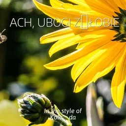 Titelbild für Ach, ubogi żłobie - Kolęda Karaoke-Version