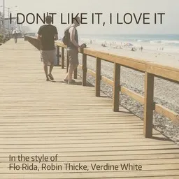 Karaokekappaleen I Don't Like It, I Love It - Flo Rida,Robin Thicke,Verdine White kansikuva