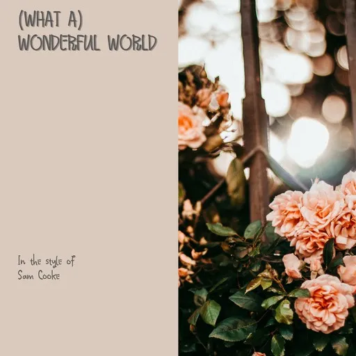 (What A) Wonderful World - Karaoke