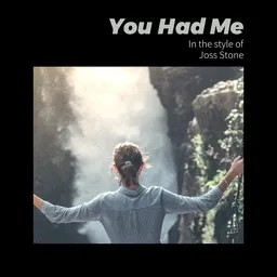 Cover art for You Had Me - Joss Stone karaoke version