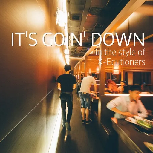 Karaoke It's Goin' Down von X-Ecutioners — mit Songtext mitsingen auf Singa