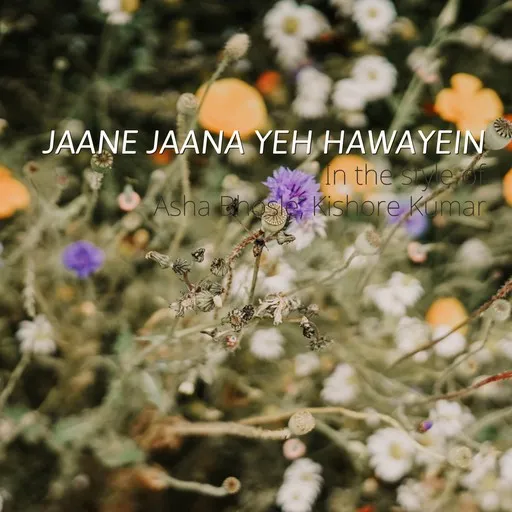 Karaoke Jaane Jaana Yeh Hawayein by Asha Bhosle, Kishore Kumar — sing along with lyrics on Singa
