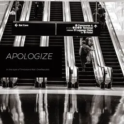 Cover art for Apologize - OneRepublic,Timbaland karaoke version
