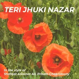 Cover art for Teri Jhuki Nazar - Pritam Chakraborty,Shafqat Amanat Ali karaoke version