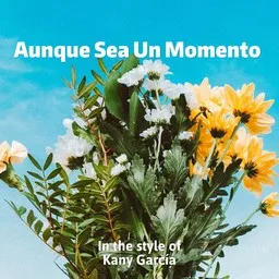 Cover art for Aunque Sea Un Momento - Kany García karaoke version