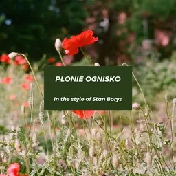 Cover art for Płonie ognisko - Stan Borys karaoke version