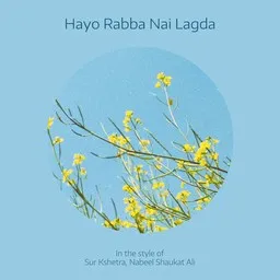 Cover art for Hayo Rabba Nai Lagda - Nabeel Shaukat Ali,Sur Kshetra karaoke version