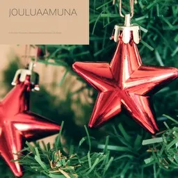 Cover art for Jouluaamuna - Elisa Piispanen,Johanna Alhola,Joululaulu,Lilli Palvalin karaoke version