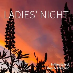 Cover art for Ladies' Night  - Kool & The Gang karaoke version