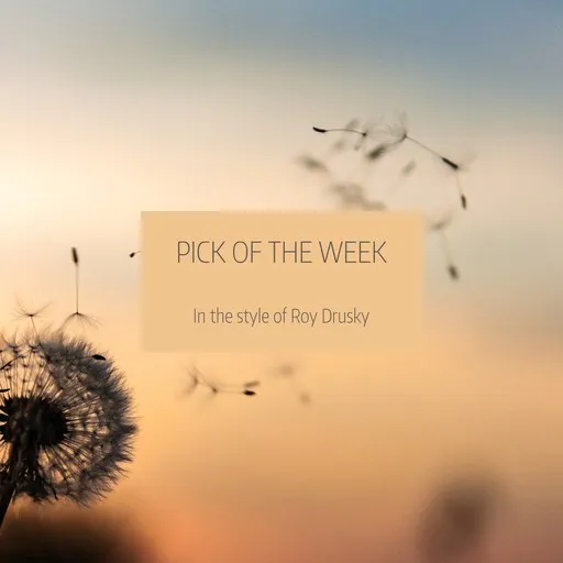 Karaoke Pick Of The Week by Roy Drusky — sing along with lyrics on Singa
