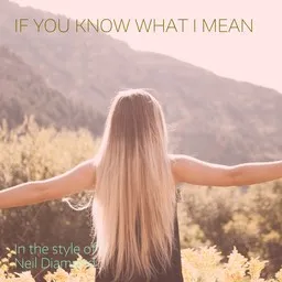 Cover art for If You Know What I Mean - Neil Diamond karaoke version