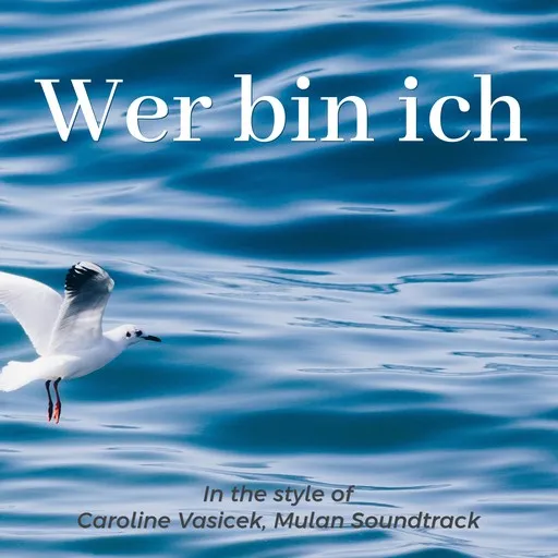 Wer bin ich - Karaoke
