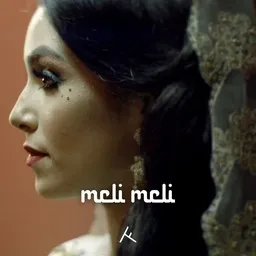 Cover art for Meli Meli - Ali B,Numidia,Ronnie Flex karaoke version