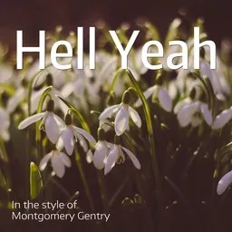 Cover art for Hell Yeah - Montgomery Gentry karaoke version