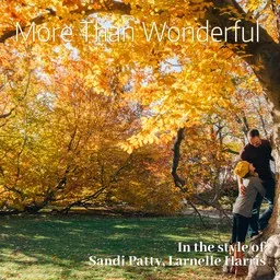 Cover art for More Than Wonderful - Larnelle Harris,Sandi Patty karaoke version