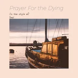 Cover art for Prayer For the Dying - Seal karaoke version