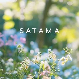Cover art for Satama - Kuumaa karaoke version