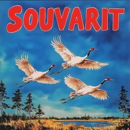 Omslagsbild för Kurjet - Lasse Hoikka,Souvarit karaokeversion