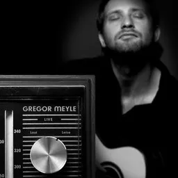 Cover art for Kleines Lied (Live) - Gregor Meyle karaoke version