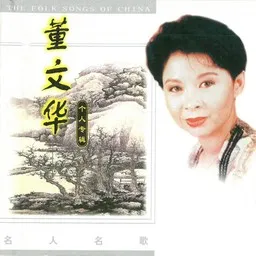 Titelbild für 董文华