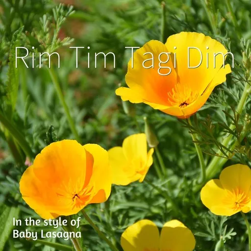 Rim Tim Tagi Dim - Karaoke