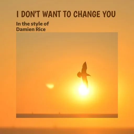 Karaoke I Don't Want To Change You by Damien Rice — sing along with lyrics on Singa