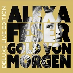 Cover art for Stadt ohne Skyline - Alexa Feser karaoke version