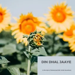 Titelbild für Din Dhal Jaaye - Guide Soundtrack,Mohammed Rafi Karaoke-Version
