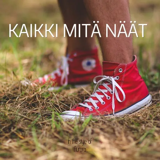 Kaikki mitä näät - Karaoke
