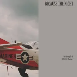 Cover art for Because The Night - 10,000 Maniacs karaoke version