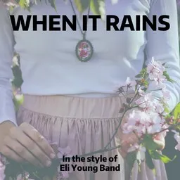 Cover art for When It Rains - Eli Young Band karaoke version