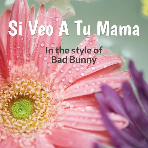 Si Veo A Tu Mama - Karaoke