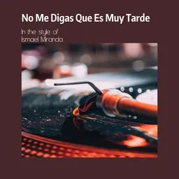 Titelbild für No Me Digas Que Es Muy Tarde - Ismael Miranda Karaoke-Version