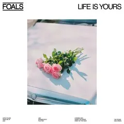 Cover art for Flutter - Foals karaoke version